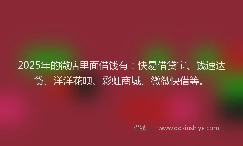 2025年的微店里面借钱有：快易借贷宝、钱速达贷、洋洋花呗、彩虹商城、微微快借等。