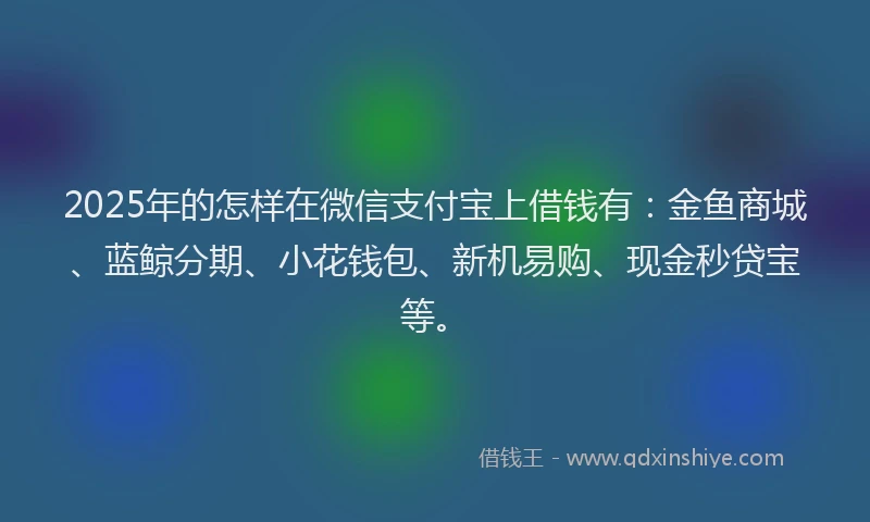 2025年的怎样在微信支付宝上借钱有：金鱼商城、蓝鲸分期、小花钱包、新机易购、现金秒贷宝等。