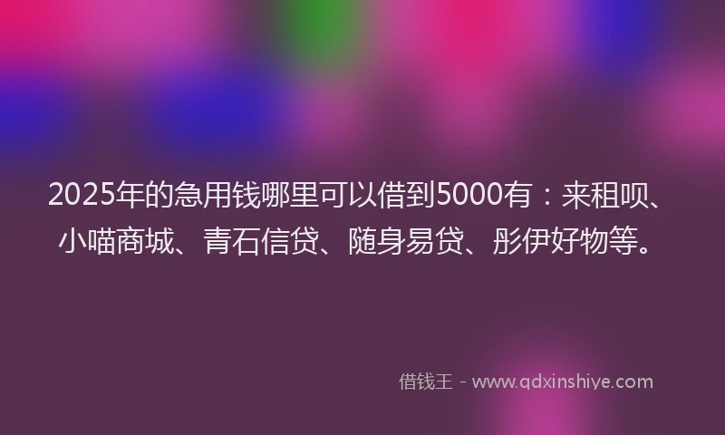 2025年的急用钱哪里可以借到5000有：来租呗、小喵商城、青石信贷、随身易贷、彤伊好物等。