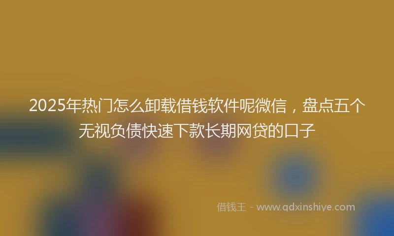 2025年热门怎么卸载借钱软件呢微信，盘点五个无视负债快速下款长期网贷的口子