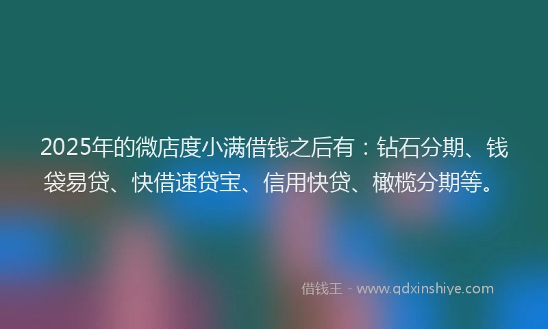 2025年的微店度小满借钱之后有：钻石分期、钱袋易贷、快借速贷宝、信用快贷、橄榄分期等。