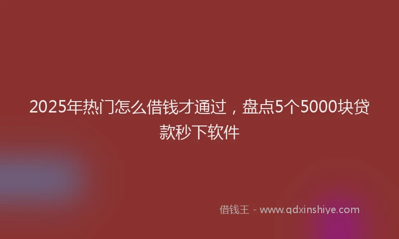 2025年热门怎么借钱才通过，盘点5个5000块贷款秒下软件