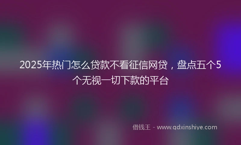 2025年热门怎么贷款不看征信网贷，盘点五个5个无视一切下款的平台