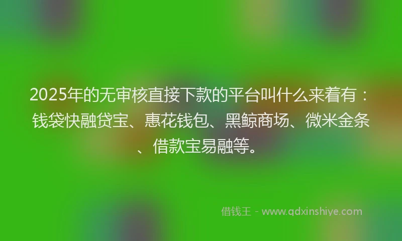 2025年的无审核直接下款的平台叫什么来着有：钱袋快融贷宝、惠花钱包、黑鲸商场、微米金条、借款宝易融等。