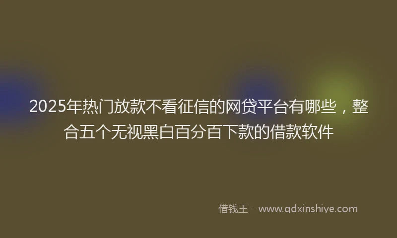 2025年热门放款不看征信的网贷平台有哪些，整合五个无视黑白百分百下款的借款软件