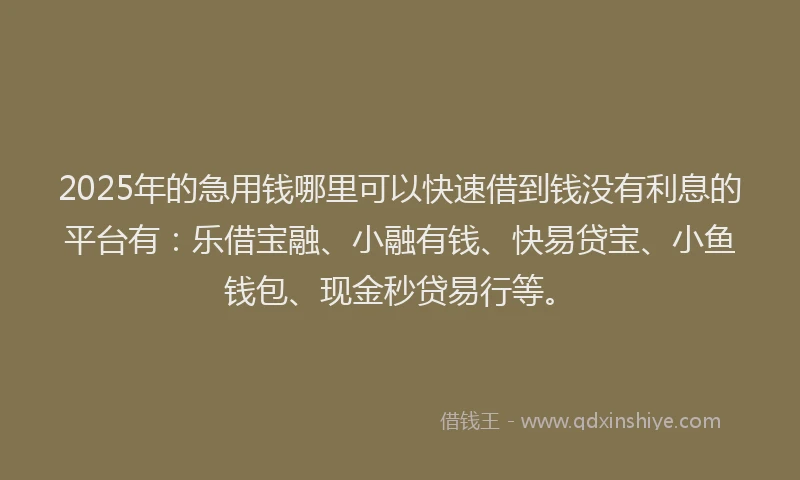 2025年的急用钱哪里可以快速借到钱没有利息的平台有：乐借宝融、小融有钱、快易贷宝、小鱼钱包、现金秒贷易行等。