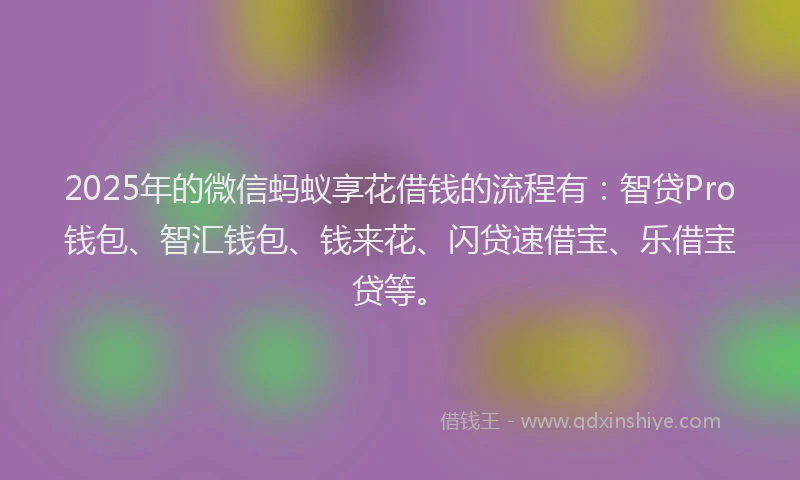 2025年的微信蚂蚁享花借钱的流程有：智贷Pro钱包、智汇钱包、钱来花、闪贷速借宝、乐借宝贷等。