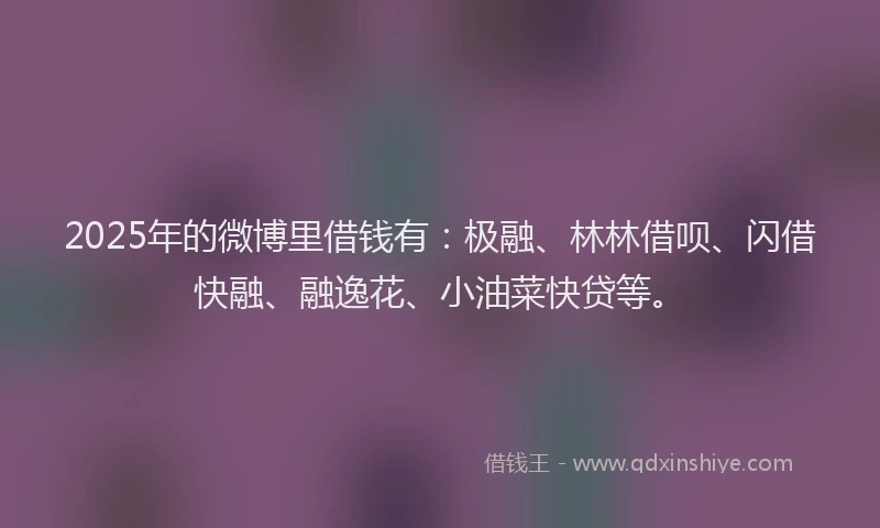 2025年的微博里借钱有：极融、林林借呗、闪借快融、融逸花、小油菜快贷等。