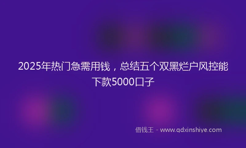 2025年热门急需用钱，总结五个双黑烂户风控能下款5000口子