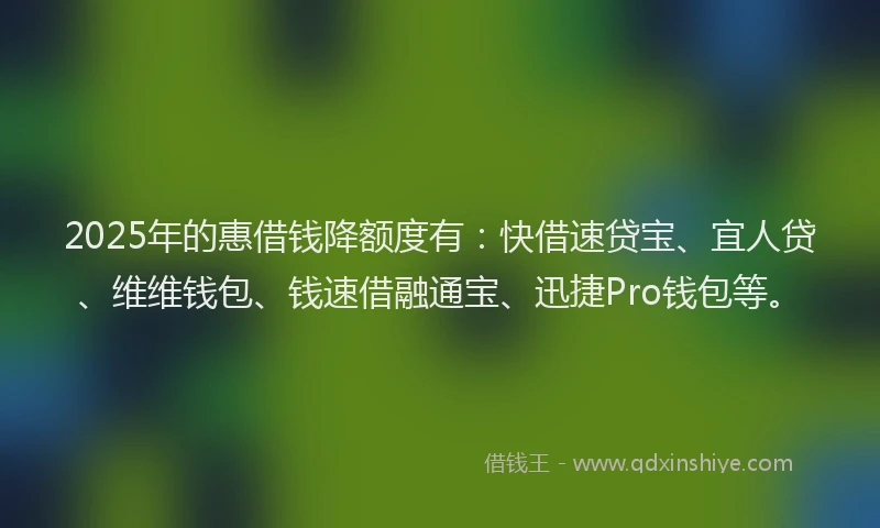 2025年的惠借钱降额度有：快借速贷宝、宜人贷、维维钱包、钱速借融通宝、迅捷Pro钱包等。