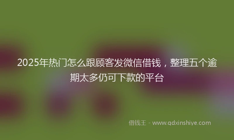 2025年热门怎么跟顾客发微信借钱，整理五个逾期太多仍可下款的平台