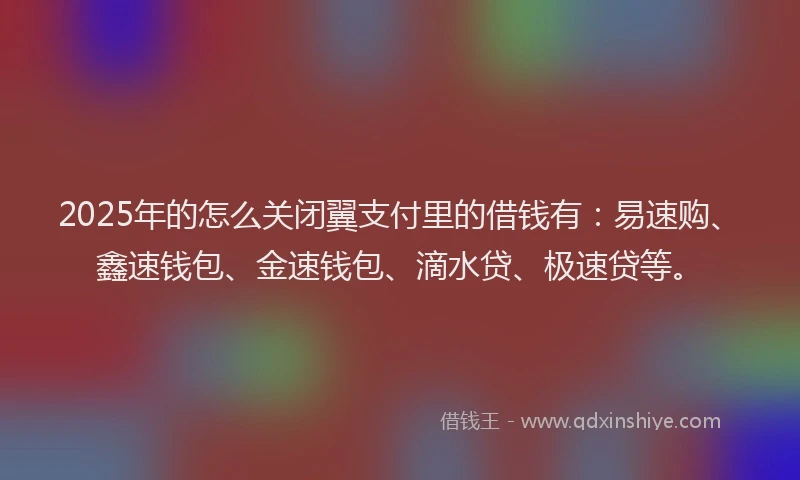 2025年的怎么关闭翼支付里的借钱有：易速购、鑫速钱包、金速钱包、滴水贷、极速贷等。