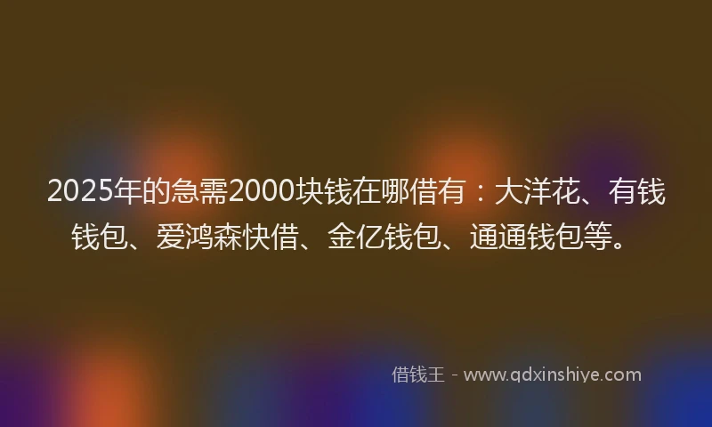 2025年的急需2000块钱在哪借有：大洋花、有钱钱包、爱鸿森快借、金亿钱包、通通钱包等。
