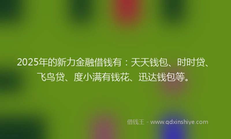 2025年的新力金融借钱有：天天钱包、时时贷、飞鸟贷、度小满有钱花、迅达钱包等。