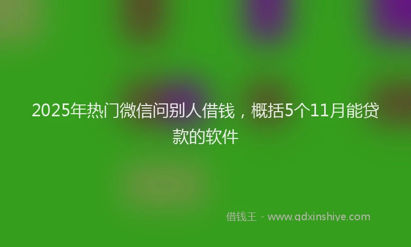 2025年热门微信问别人借钱，概括5个11月能贷款的软件