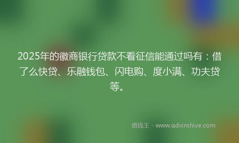 2025年的徽商银行贷款不看征信能通过吗有：借了么快贷、乐融钱包、闪电购、度小满、功夫贷等。