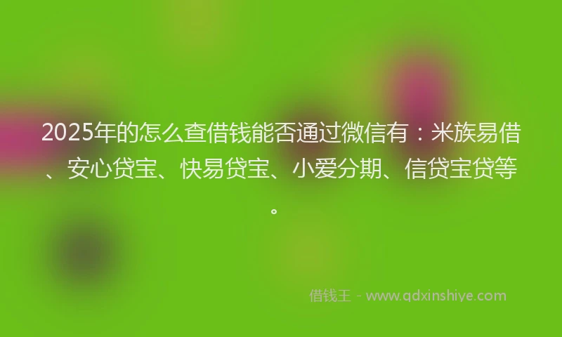 2025年的怎么查借钱能否通过微信有：米族易借、安心贷宝、快易贷宝、小爱分期、信贷宝贷等。
