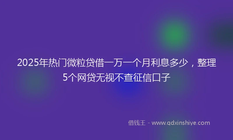 2025年热门微粒贷借一万一个月利息多少，整理5个网贷无视不查征信口子
