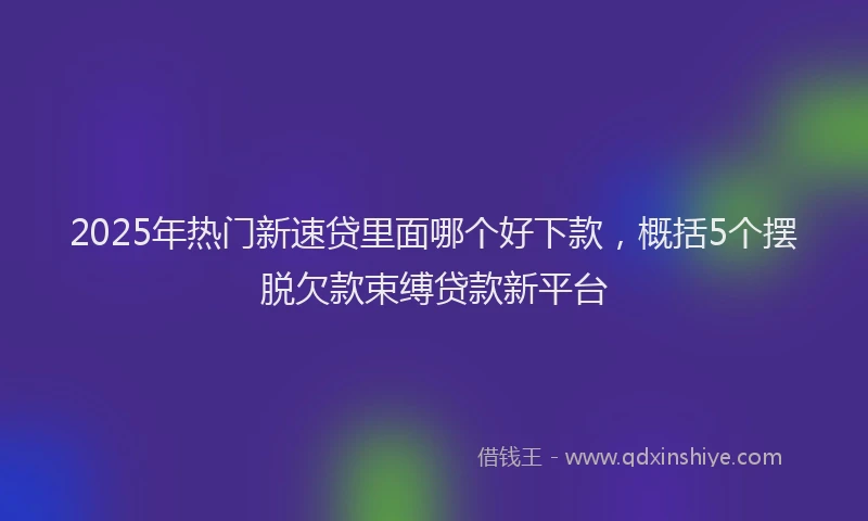 2025年热门新速贷里面哪个好下款，概括5个摆脱欠款束缚贷款新平台