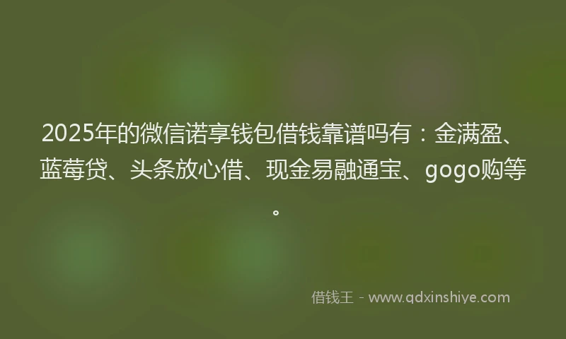 2025年的微信诺享钱包借钱靠谱吗有：金满盈、蓝莓贷、头条放心借、现金易融通宝、gogo购等。