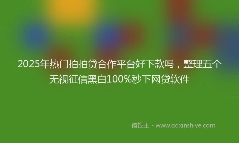 2025年热门拍拍贷合作平台好下款吗，整理五个无视征信黑白100%秒下网贷软件