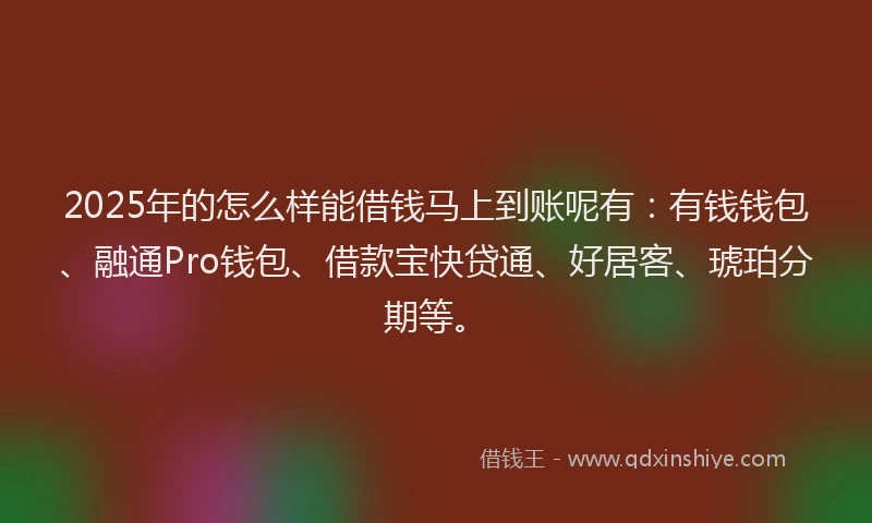 2025年的怎么样能借钱马上到账呢有：有钱钱包、融通Pro钱包、借款宝快贷通、好居客、琥珀分期等。