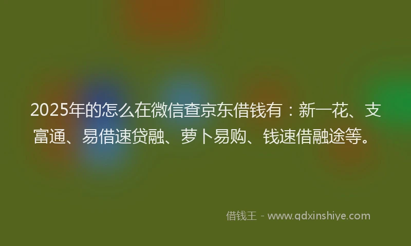 2025年的怎么在微信查京东借钱有：新一花、支富通、易借速贷融、萝卜易购、钱速借融途等。
