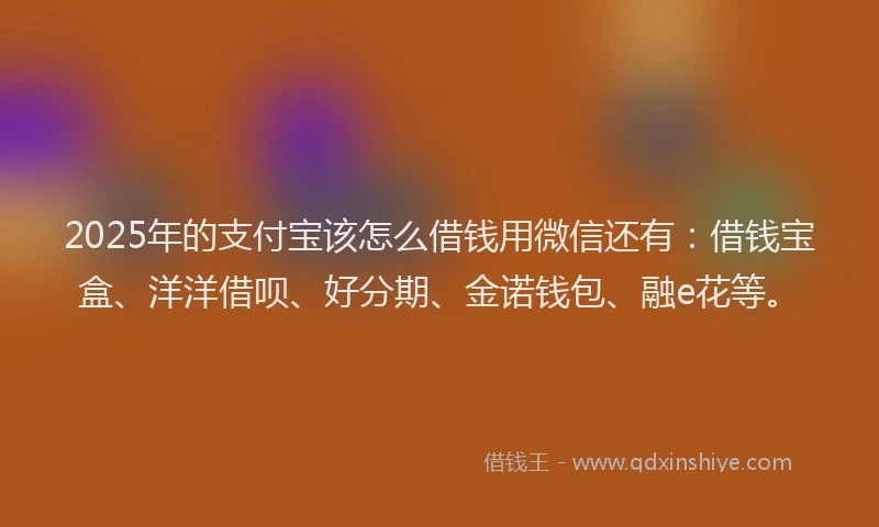 2025年的支付宝该怎么借钱用微信还有：借钱宝盒、洋洋借呗、好分期、金诺钱包、融e花等。