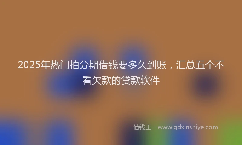 2025年热门拍分期借钱要多久到账，汇总五个不看欠款的贷款软件