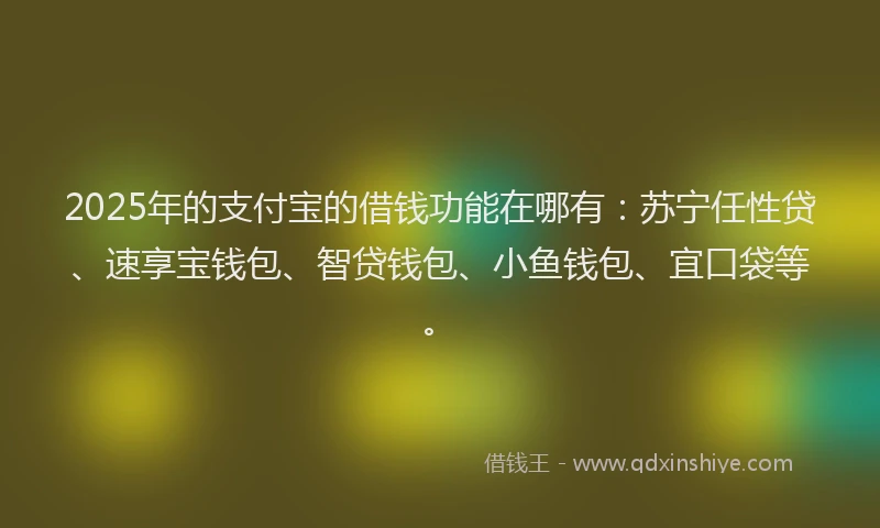 2025年的支付宝的借钱功能在哪有：苏宁任性贷、速享宝钱包、智贷钱包、小鱼钱包、宜口袋等。