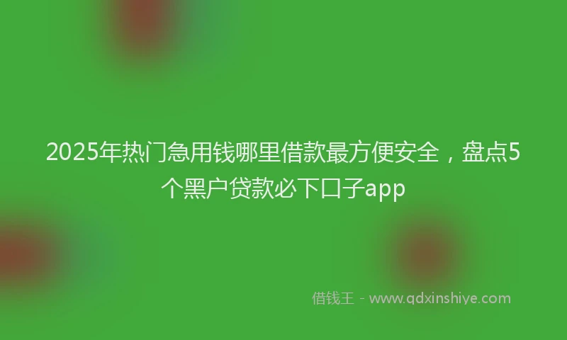 2025年热门急用钱哪里借款最方便安全，盘点5个黑户贷款必下口子app