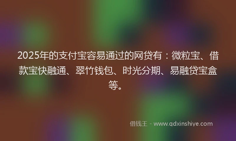 2025年的支付宝容易通过的网贷有：微粒宝、借款宝快融通、翠竹钱包、时光分期、易融贷宝盒等。