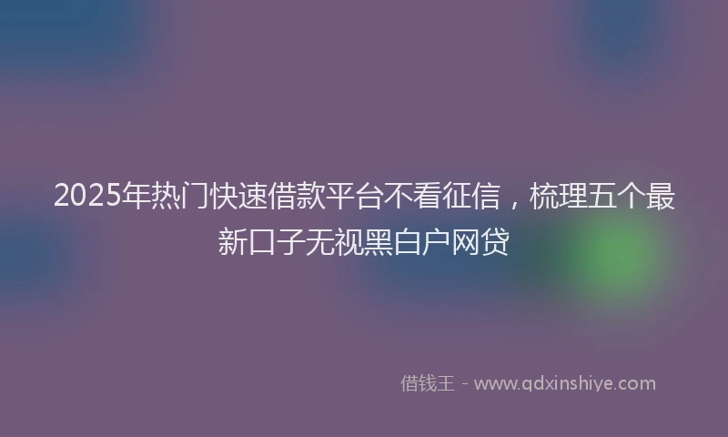 2025年热门快速借款平台不看征信，梳理五个最新口子无视黑白户网贷