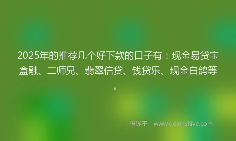2025年的推荐几个好下款的口子有：现金易贷宝盒融、二师兄、翡翠信贷、钱贷乐、现金白鸽等。