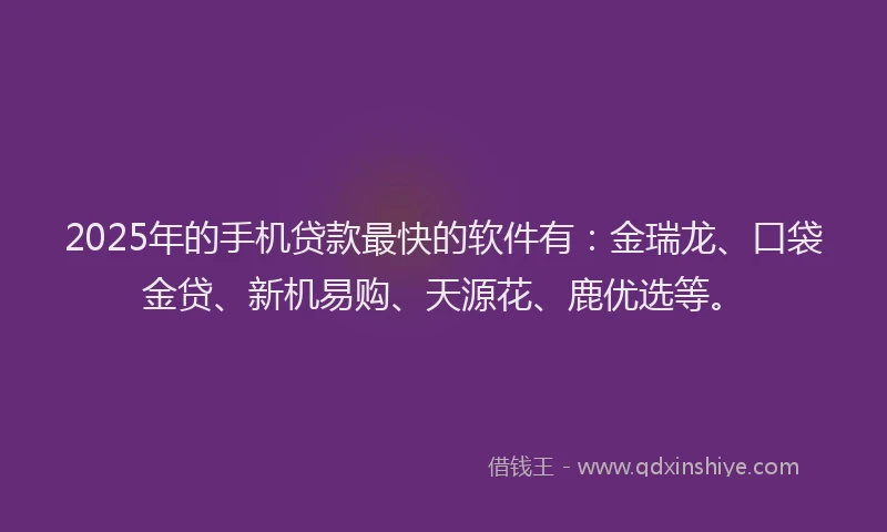 2025年的手机贷款最快的软件有：金瑞龙、口袋金贷、新机易购、天源花、鹿优选等。