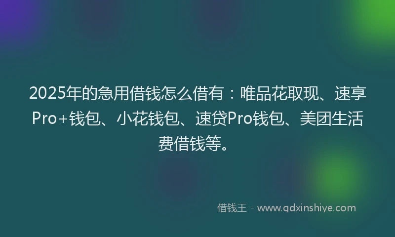 2025年的急用借钱怎么借有：唯品花取现、速享Pro+钱包、小花钱包、速贷Pro钱包、美团生活费借钱等。