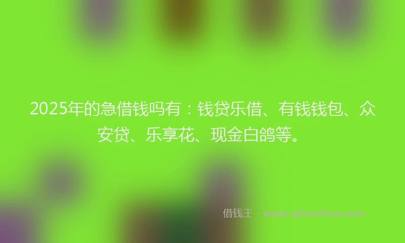 2025年的急借钱吗有：钱贷乐借、有钱钱包、众安贷、乐享花、现金白鸽等。