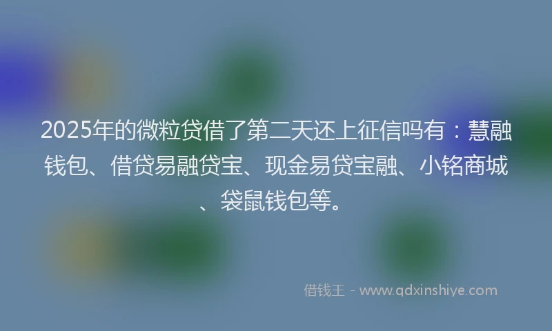 2025年的微粒贷借了第二天还上征信吗有：慧融钱包、借贷易融贷宝、现金易贷宝融、小铭商城、袋鼠钱包等。