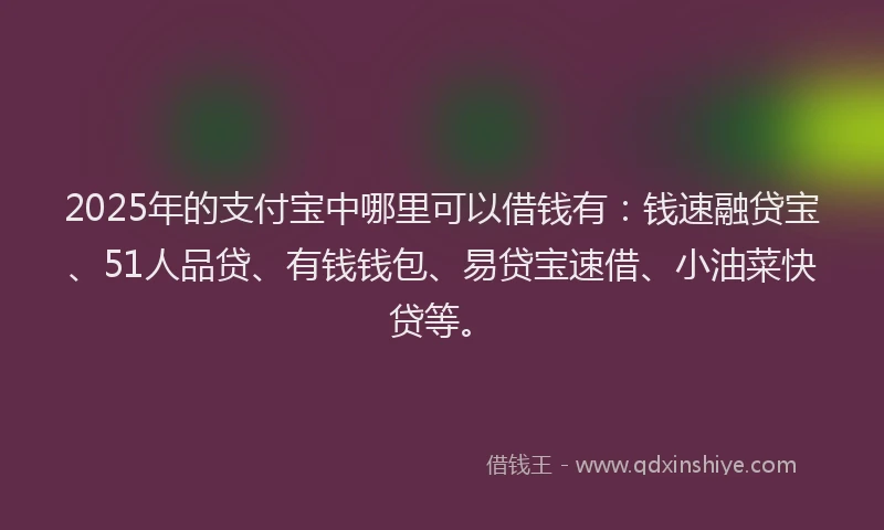 2025年的支付宝中哪里可以借钱有：钱速融贷宝、51人品贷、有钱钱包、易贷宝速借、小油菜快贷等。