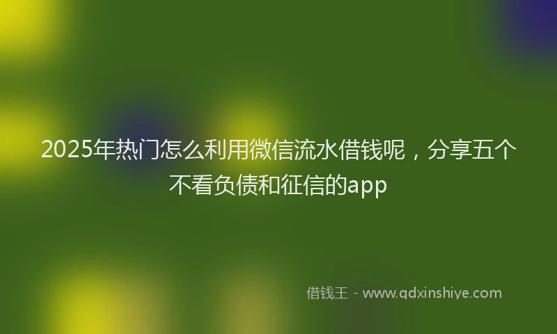 2025年热门怎么利用微信流水借钱呢，分享五个不看负债和征信的app