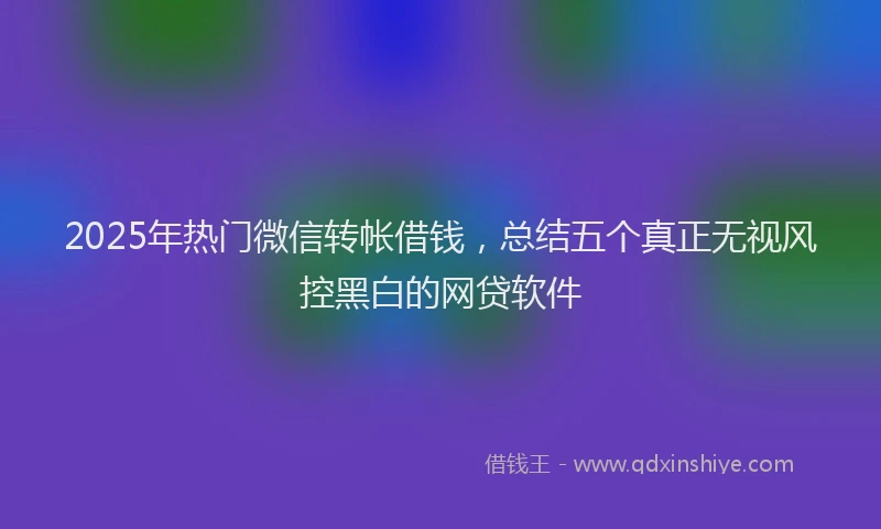 2025年热门微信转帐借钱，总结五个真正无视风控黑白的网贷软件
