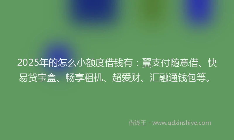 2025年的怎么小额度借钱有：翼支付随意借、快易贷宝盒、畅享租机、超爱财、汇融通钱包等。