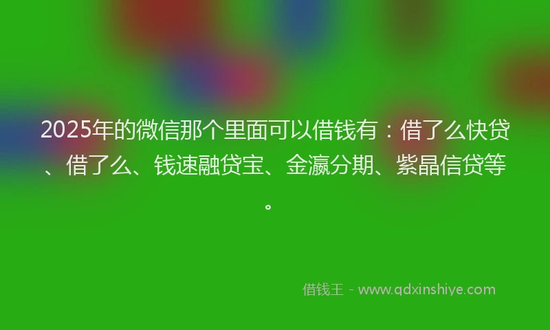 2025年的微信那个里面可以借钱有：借了么快贷、借了么、钱速融贷宝、金瀛分期、紫晶信贷等。