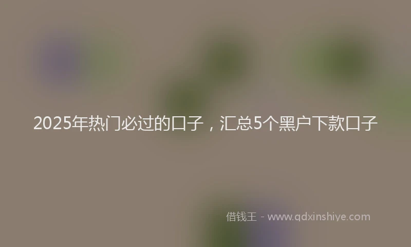 2025年热门必过的口子，汇总5个黑户下款口子