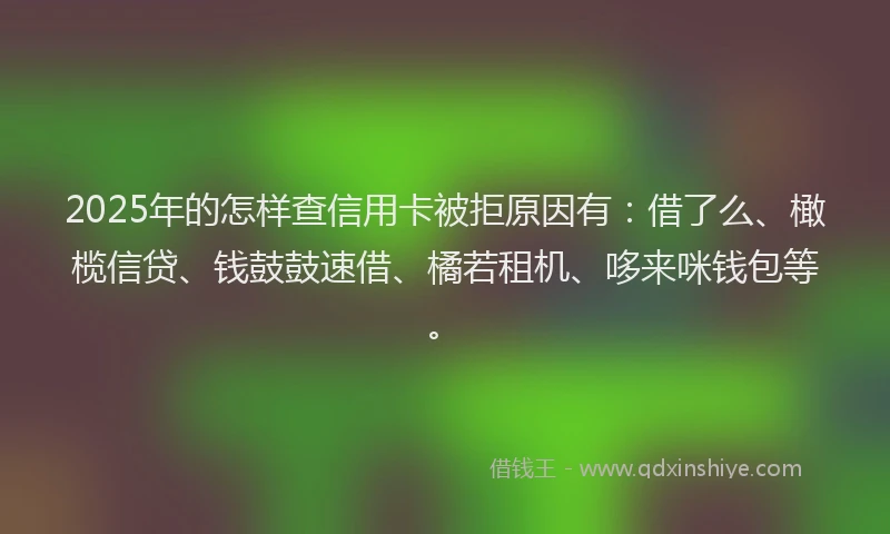 2025年的怎样查信用卡被拒原因有：借了么、橄榄信贷、钱鼓鼓速借、橘若租机、哆来咪钱包等。