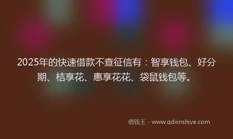 2025年的快速借款不查征信有：智享钱包、好分期、桔享花、惠享花花、袋鼠钱包等。