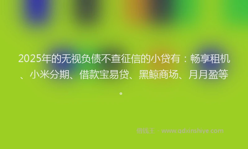 2025年的无视负债不查征信的小贷有：畅享租机、小米分期、借款宝易贷、黑鲸商场、月月盈等。