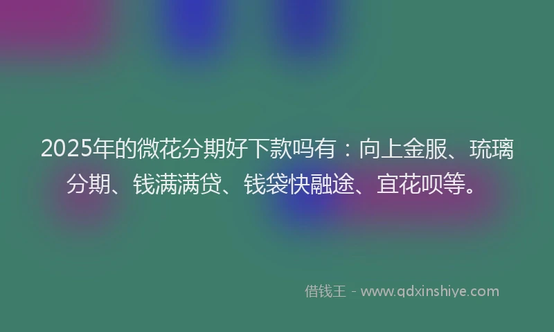 2025年的微花分期好下款吗有：向上金服、琉璃分期、钱满满贷、钱袋快融途、宜花呗等。