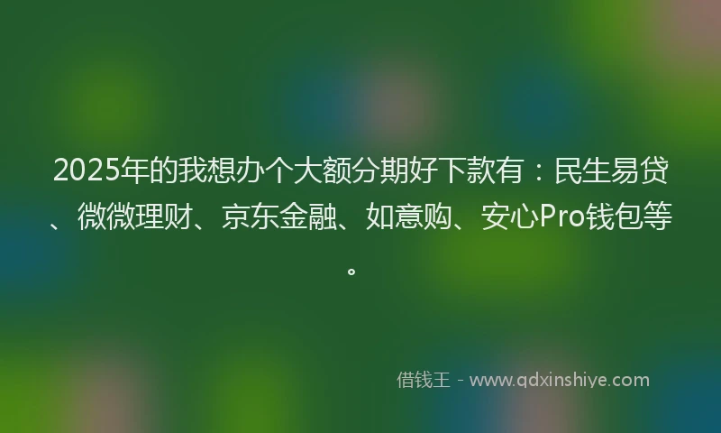 2025年的我想办个大额分期好下款有：民生易贷、微微理财、京东金融、如意购、安心Pro钱包等。