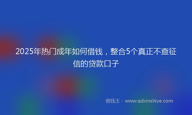 2025年热门成年如何借钱，整合5个真正不查征信的贷款口子